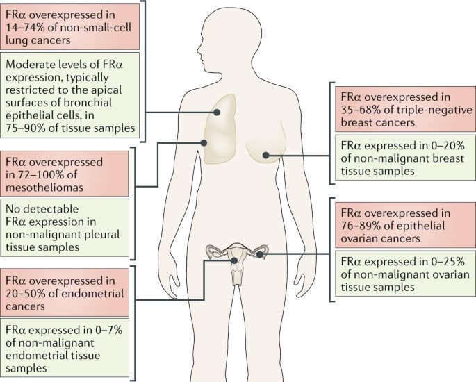 The expression of FolRα in cancers and non-malignant tissues. 