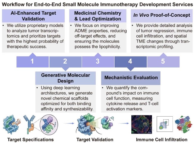A simple procedure for end-to-end small molecule immunotherapy development services. (Creative Biolabs Original)