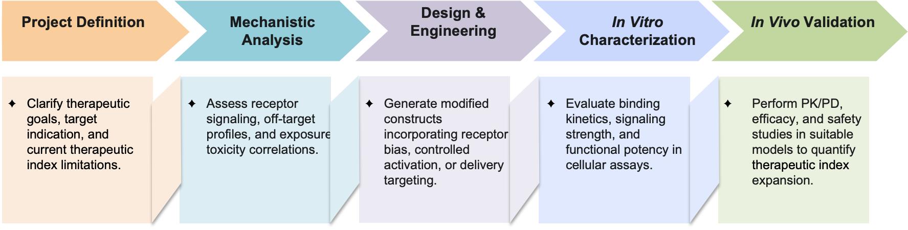 Workflow of therapeutic index enhancement engineering. (Creative Biolabs Original)