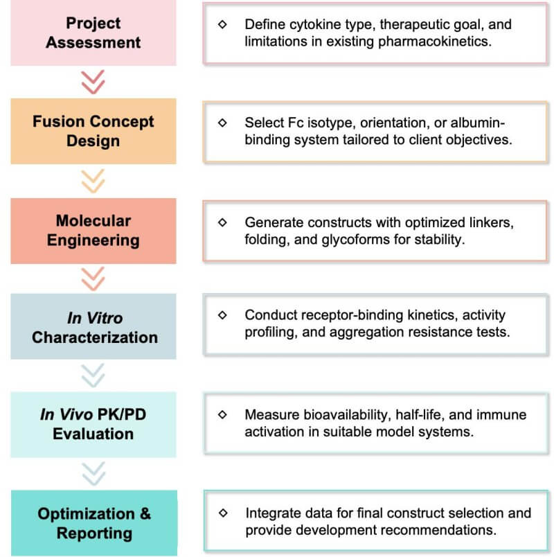 Workflow of cytokine Fc-fusion design & half-life extension services. (Creative Biolabs Original)