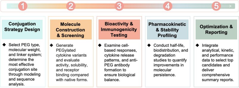 Workflow of site-specific & novel polymer conjugation. (Creative Biolabs Original)