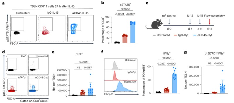 Fig.1 Cytokine delivery directed toward CD45+ immune cells modulates the immune architecture of tumor-draining lymph nodes. (OA Literature)