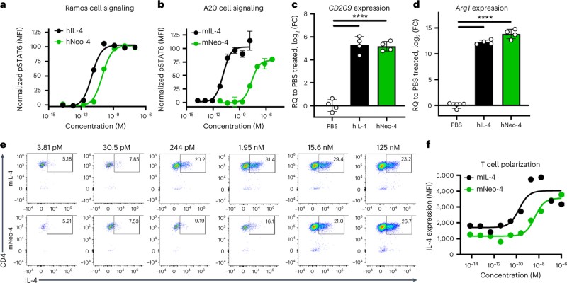 Fig.1 IL-4 mimetics reproduce the biological activities of natural IL-4 in cell-based systems. (OA Literature)