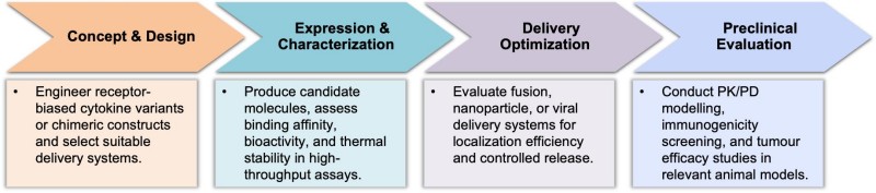 Workflow of advanced cytokine engineering services. (Creative Biolabs Original)