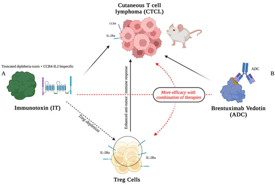 Fig 1. Schematic representation of the therapeutic action of a bispecific immunotoxin targeting CCR4 and IL-2Rα in a CTCL. (OA Literature)
