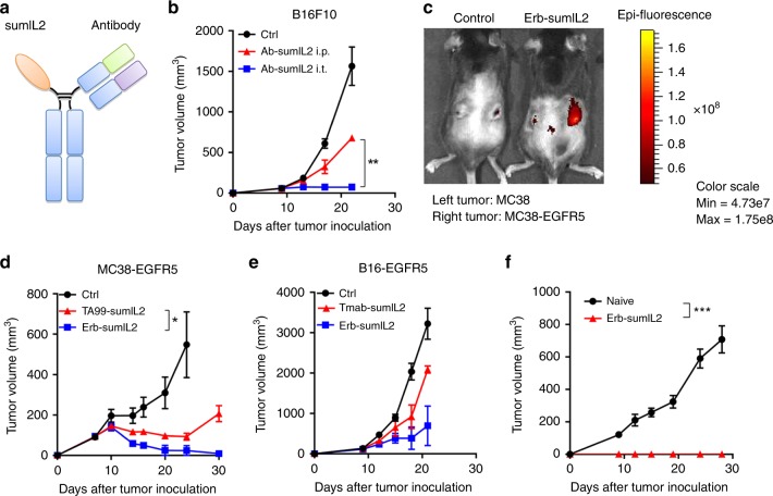 Fig 1. Tumor targeting is critical for the antitumor effect of sumIL-2 therapy. (OA Literature)