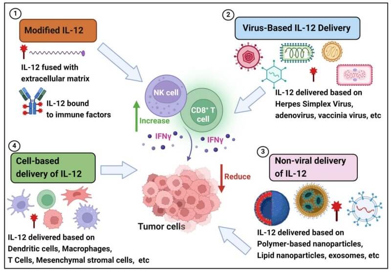 Fig.1 Novel IL-12 delivery systems for improved cancer immunotherapy. (OA Literature)