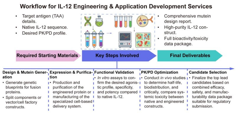 A simple procedure for IL-12 engineering and application development services. (Creative Biolabs Original)