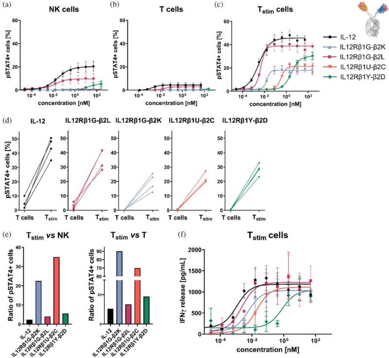 Fig.1 Unlocking focused anti-tumor immunity with an IL-12 sdAb agonist. (OA Literature)