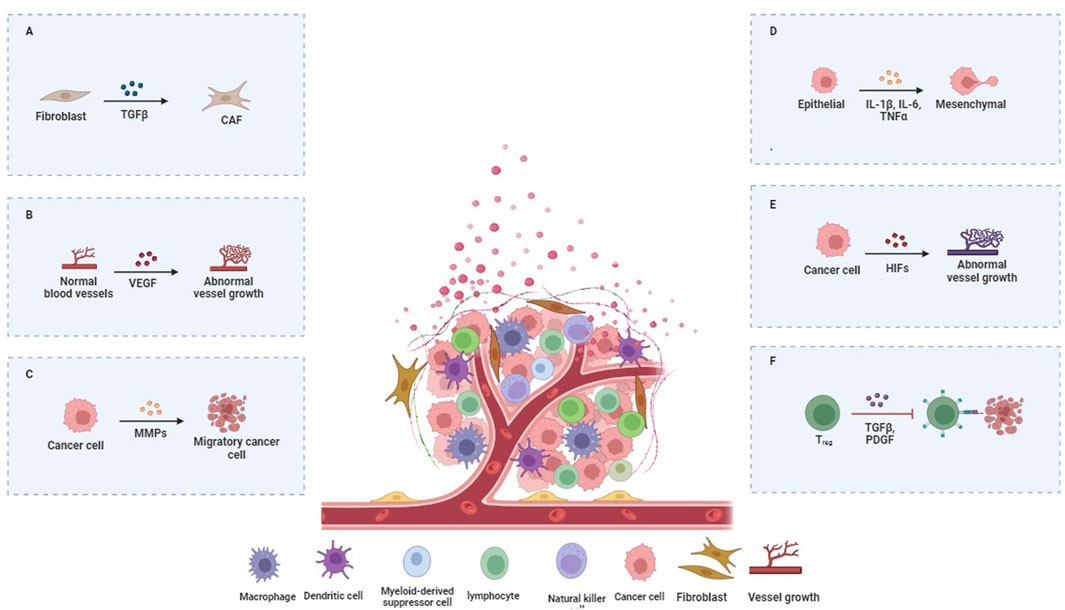 Fig.1 Unraveling TME-mediated metastatic signaling networks. (OA Literature)