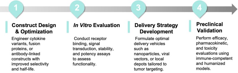 Workflow of cytokine immunotherapy development. (Creative Biolabs Original)