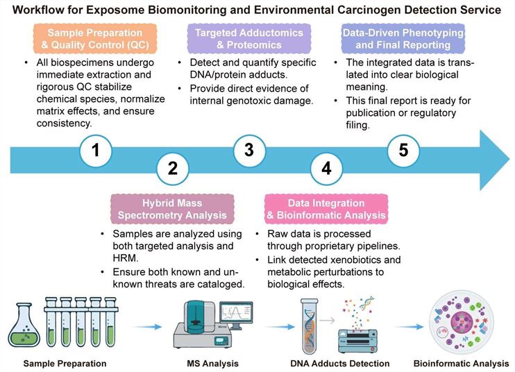 A simple procedure for exposome biomonitoring and environmental carcinogen detection service. (Creative Biolabs Original)