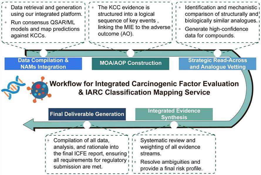 A simple procedure for integrated carcinogenic factor evaluation and IARC classification mapping service. (Creative Biolabs Original)