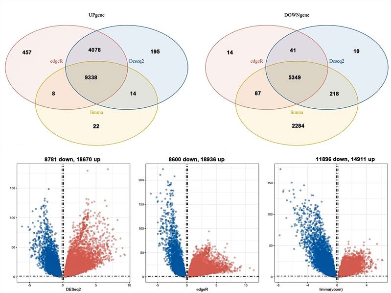 Fig.1 Differential gene analysis of lung adenocarcinoma genes. (OA Literature)