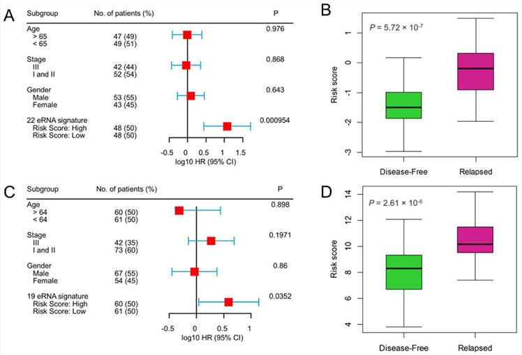 Fig.1 Enhancer RNA signature predicts survival independently of clinical factors; its risk score is upregulated upon relapse. (OA Literature)