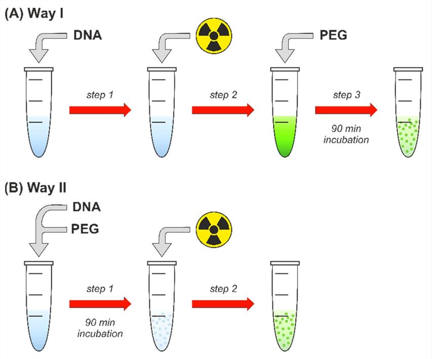 Fig.1 Diagram illustrating the radiation exposure modalities investigated. (OA Literature)