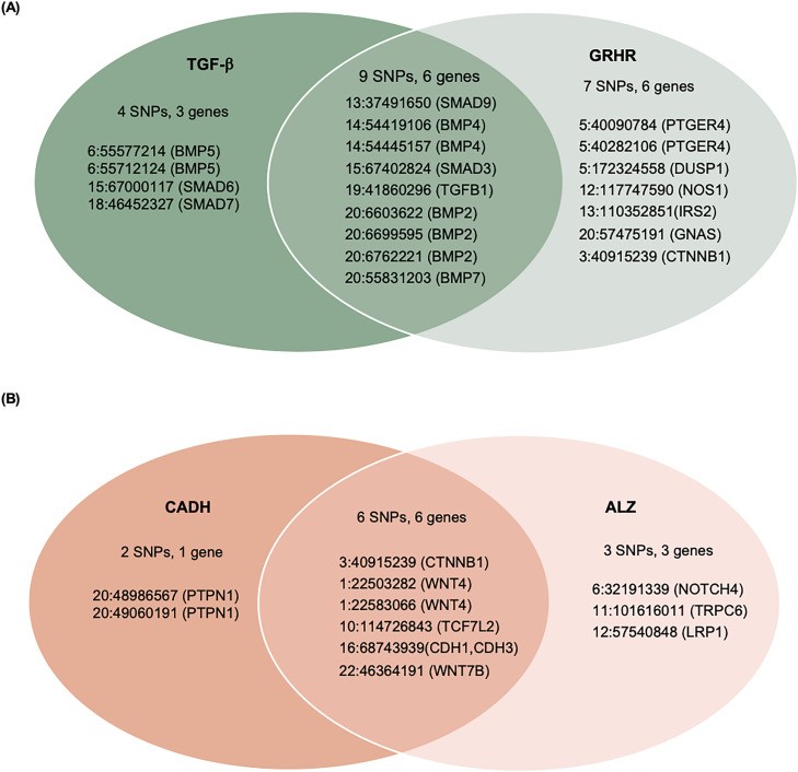 Fig.1 Pathway mapping of CRC risk variants (OA Literature)