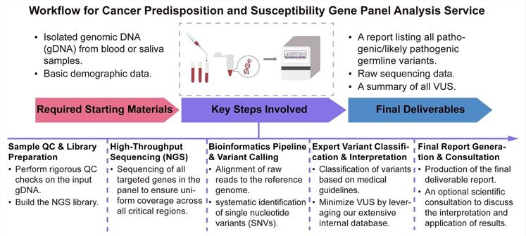 A simple procedure for cancer predisposition and susceptibility gene panel analysis service. (Creative Biolabs Original)