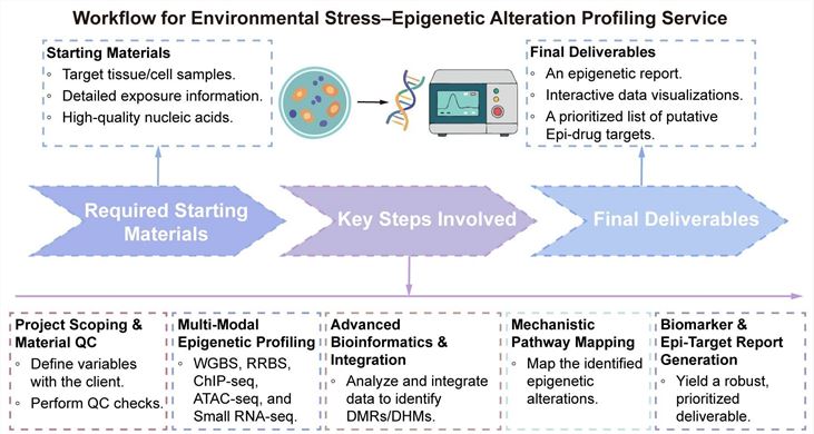 A simple procedure for environmental stress–epigenetic alteration profiling service. (Creative Biolabs Original)