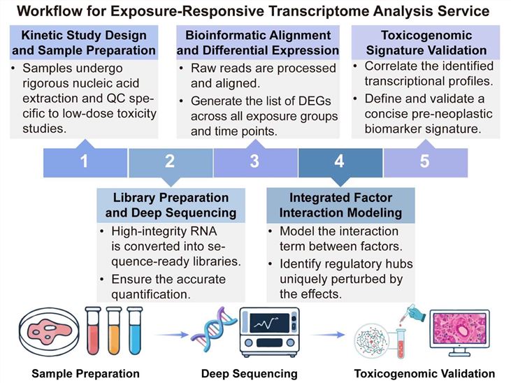 A simple procedure for exposure-responsive transcriptome analysis service. (Creative Biolabs Original)