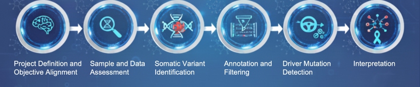 Workflow of Gene Mutation Profiling & Driver Mutation Detection (Creative Biolabs Original)