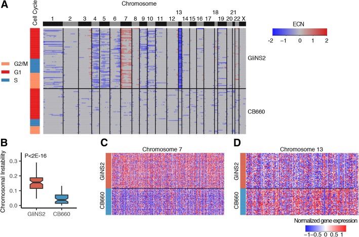 Fig.1 Gene expression levels align directly with chromosome copy number. (OA Literature)