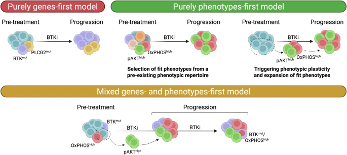 Fig.1 Hematological malignancies develop resistance to BTK inhibitors through three primary mechanisms. (OA Literature)