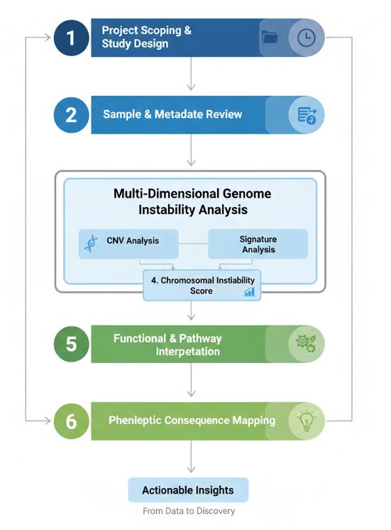 Workflow of integrated genome instability & mutation analysis. (Creative Biolabs Original)