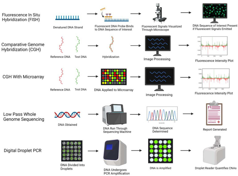 Fig 1. Methods to Determine CNAs. (OA Literature)