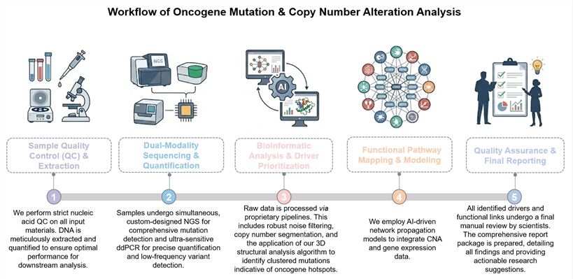 Core steps of oncogene mutation & copy number alteration analysis service. (Creative Biolabs Original)