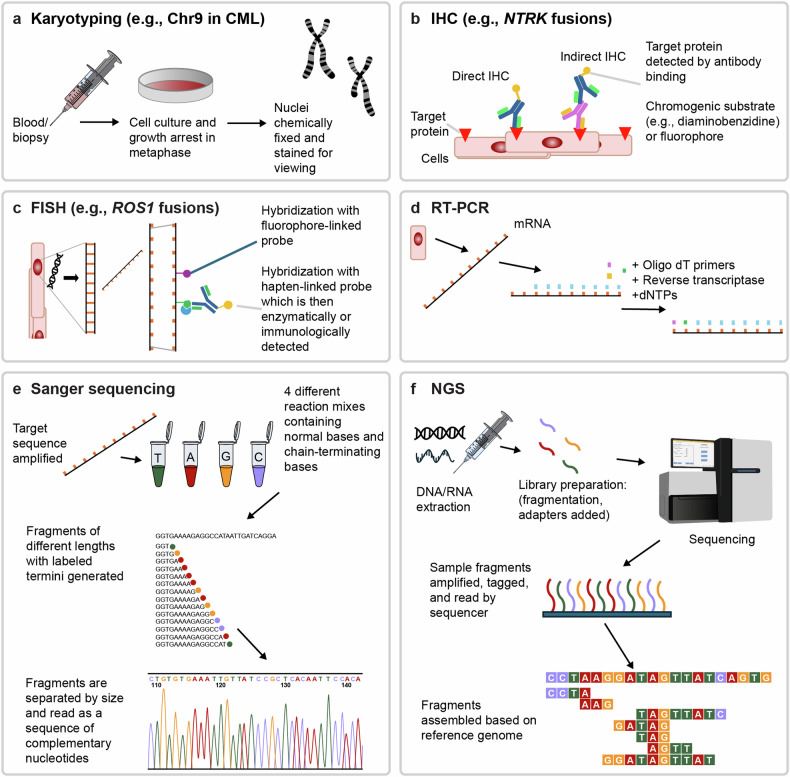Fig 1. Detection methods. (OA Literature)