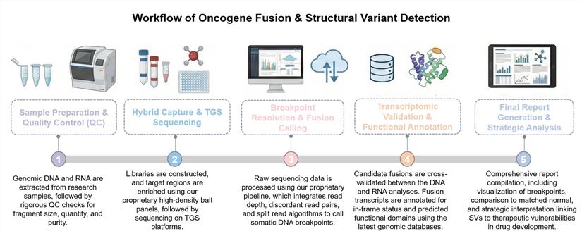 A simple procedure for oncogene fusion and structural variant detection. (Creative Biolabs Original)