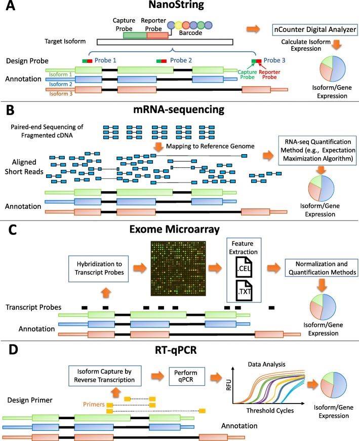 Fig 1. Isoform expressions were measured on four platforms. (OA Literature)