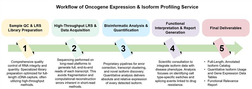 Core steps of oncogene expression & isoform profiling service. (Creative Biolabs Original)