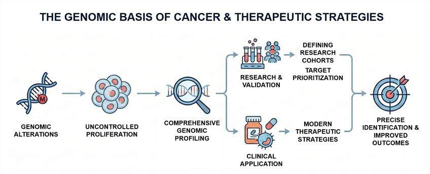 Fig 1. Oncogene profiling: lighting the path to targeted therapies. (Creative Biolabs Original)