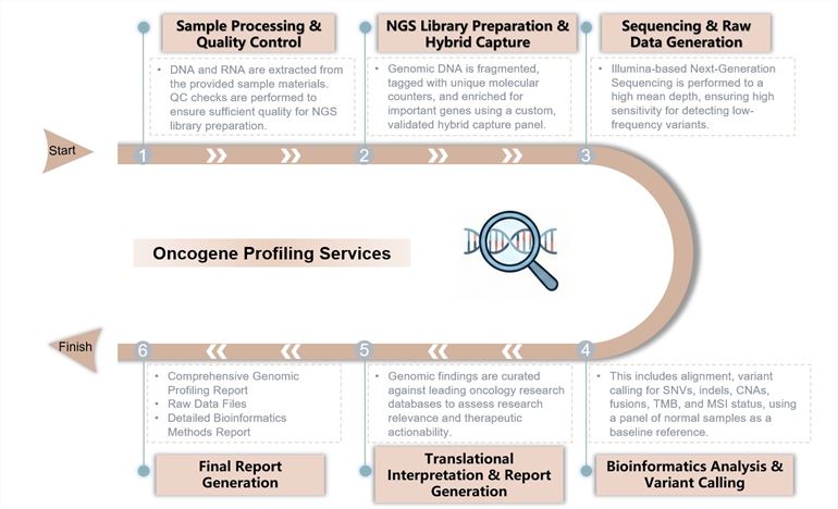 Core steps of oncogene profiling services. (Creative Biolabs Original)