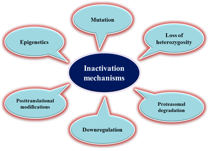 Fig 1. Mechanisms of TSG inactivation. (OA Literature)