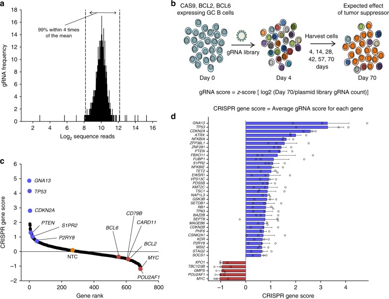 Fig 1. Screening putative tumor suppressor genes in GC B cells. (OA Literature)