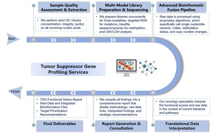 Core steps of tumor suppressor gene profiling. (Creative Biolabs Original)