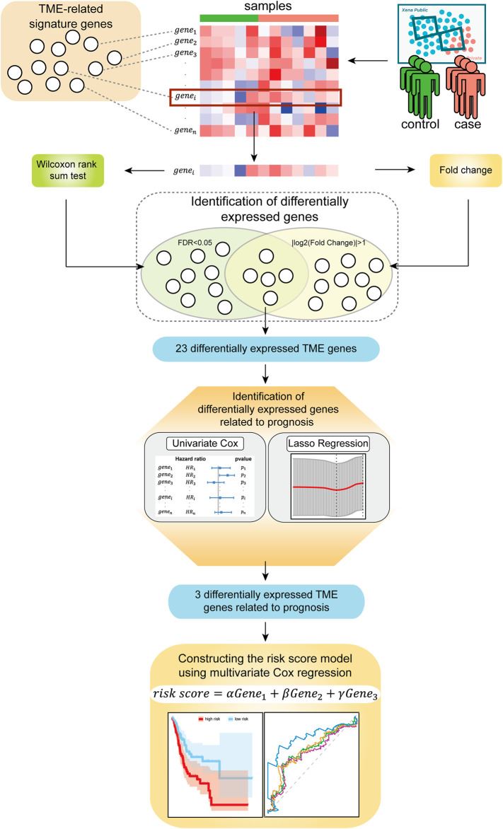Fig 1. Development and validation of an oncogene-tumor suppressor signature & risk score model based on tumor microenvironment. (OA Literature)