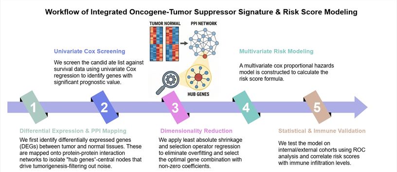 Core steps of mycoplasma test service. (Creative Biolabs Original)
