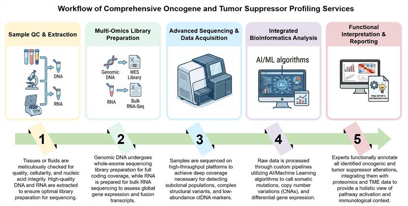 Core steps of comprehensive oncogene and tumor suppressor profiling services for oncology research. (Creative Biolabs Original)
