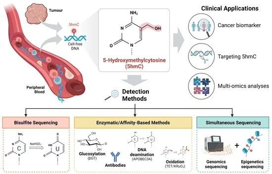 Fig 1. Graphical abstract of DNA hydroxymethylation detection methods. (OA Literature)
