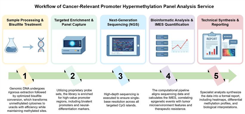 Core steps of cancer-relevant promoter hypermethylation panel analysis. (Creative Biolabs Original)