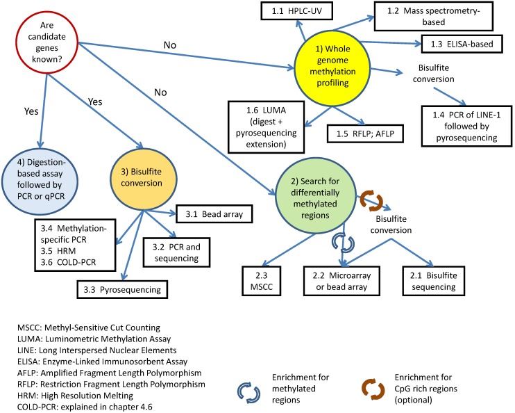 Fig 1. Choosing the right method for DNA methylation analysis. (OA Literature)