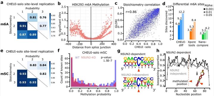 Fig.1 Mapping m6A and m5C RNA modifications across cell lines. (OA Literature)