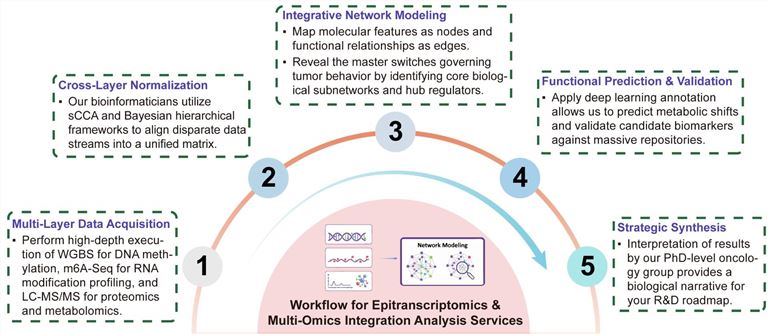 A simple procedure for epitranscriptomics and multi-omics integration analysis services. (Creative Biolabs Original)