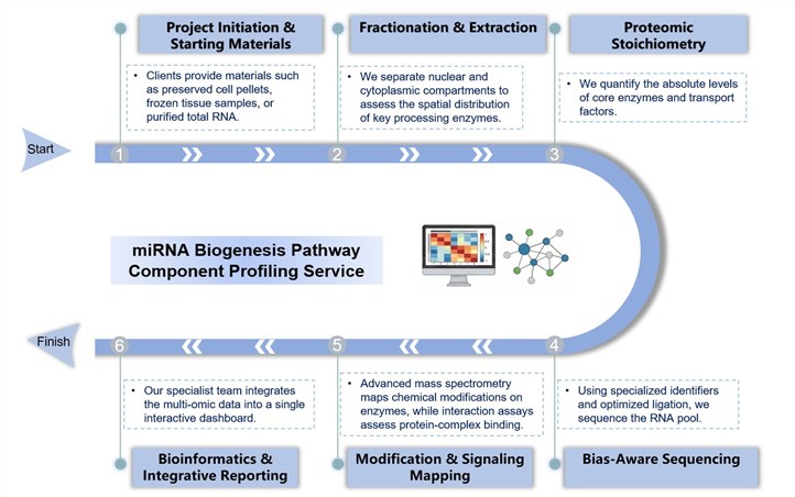 Core steps of miRNA biogenesis pathway component profiling service. (Creative Biolabs Original)