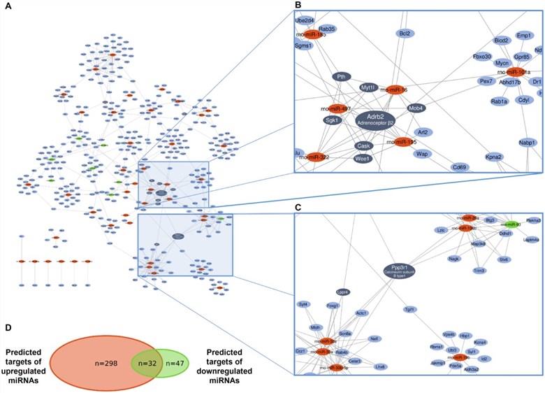 Fig 1. miRNA target prediction and validation. (OA Literature)