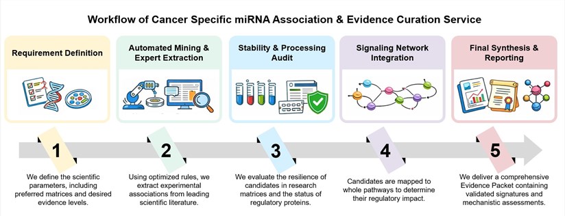 Core steps of cancer-specific miRNA association & evidence curation service. (Creative Biolabs Original)